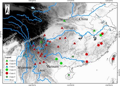 Species Delimitation and Evolutionary History of Tree Frogs in the Hyla chinensis Group (Hylidae, Amphibian)